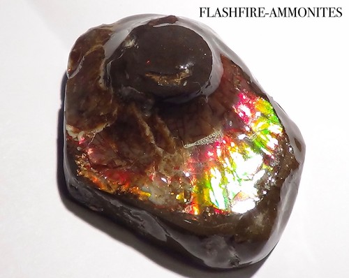 54 Gramm.!! Sammler Ammonite /Drachenschuppe Rot-Grün-Golden-Orange + VIDEO - Picture 5 of 6