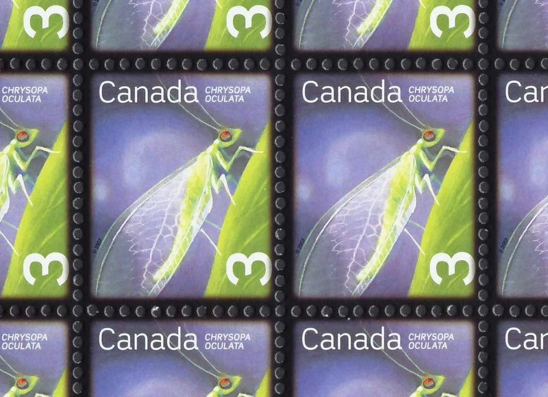 GOLDEN-EYED LACEWING = Insects = Full Sheet of 50 stamps Canada 2007 #2235 MNH - Изображение 2 из 2