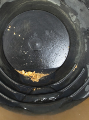 12 Ounces of Guaranteed Gold Panning Paydirt | Pay dirt Concentrates Nugget