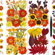 85Pcs Fall Dried Flowers for Crafts, Natural Pressed Flowers for Crafts Real ...