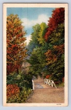 VINATAGE SERIES # 1-5 ART NATURAL SCENIC VIEWS~LINEN POSTCARD HQ