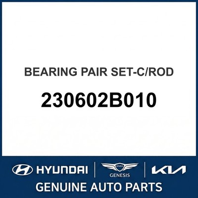 2011-2014 Hyundai Accent Bearing Pair Set-C/Rod OEM New 230602B010