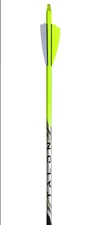 Black Eagle Talon Yellow Crested Arrows 350 Spine 6-pk .001 2.5” Fusion  X-II