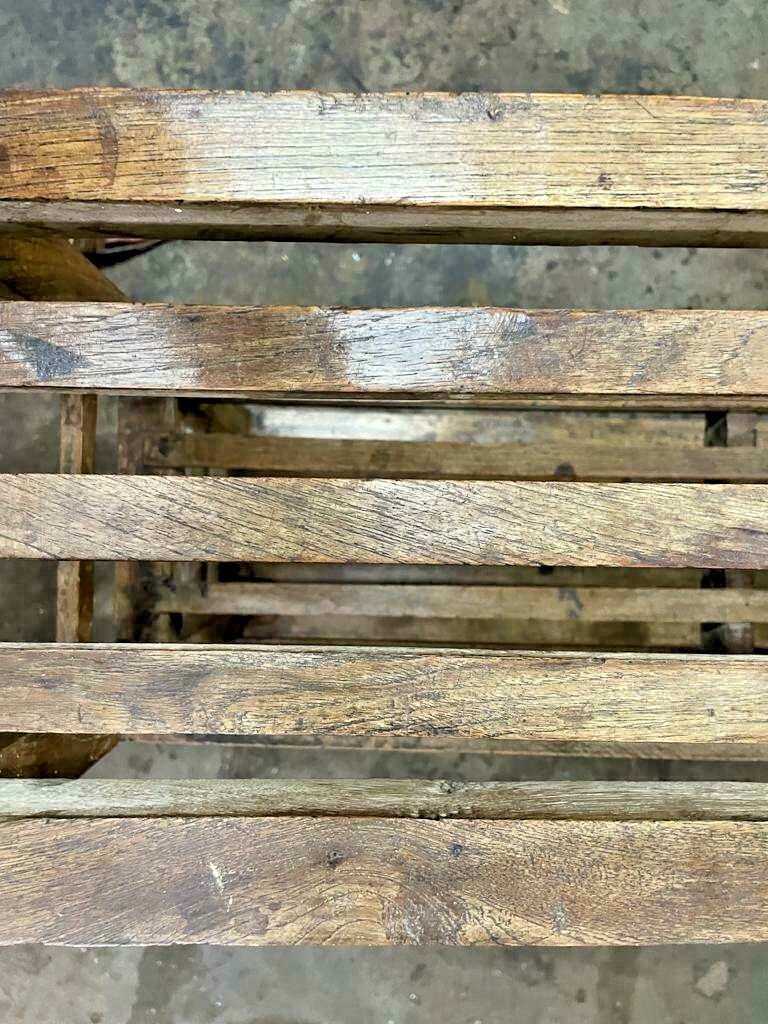 Bild 12 von 12