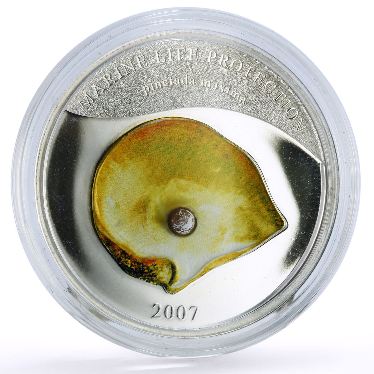 Palau 5 dollars Marine Life Pearl Oyster Pinctada Maxima Shell