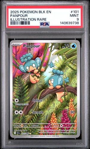 Panpour graded PSA 9 for sale on eBay