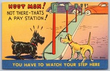 Hoot Mon Not There Thats a Pay Station Comic Dogs Postcard PC355
