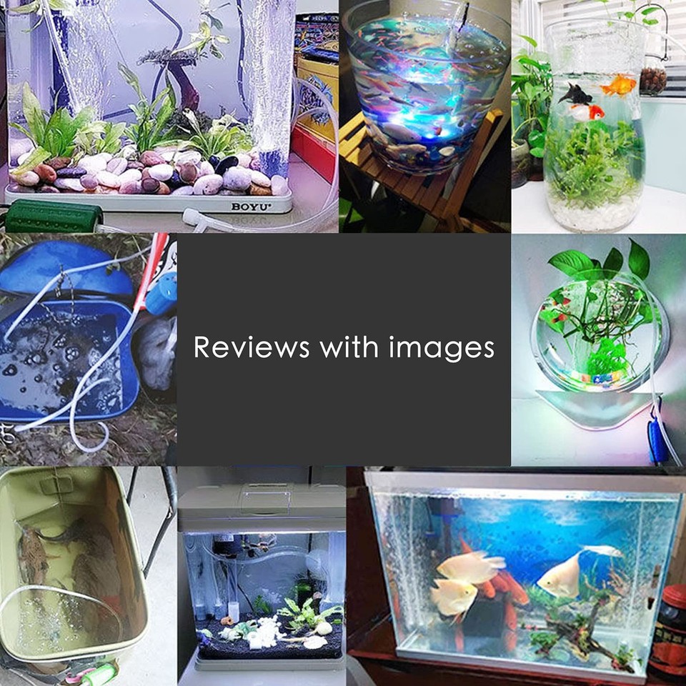 Gallery image with a fresh perspective