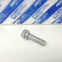 Schraube Mit Rosetta Verschiedene Anwendungen Fiat Uno Barchetta Punto Lancia Y