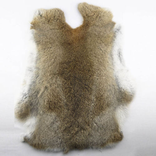 1Pcs Genuine Naturally Rabbit fur skin tanned Leather Hides craft Gray Pelts Hot - Afbeelding 1 van 5