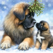 Single Luxury Leonberger Christmas Card Dog Gift/Present XMP
