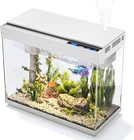 Aquarium Fish Tank Starter Kit with LED Lighting Gallon Fish Tank
