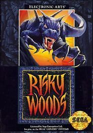 Risky Woods (Sega Genesis, 1992)