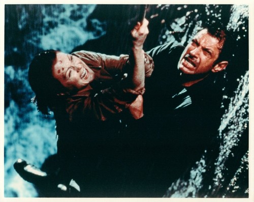 Set 7 x JURRASIC PARK Jeff Goldblum, Julianne Moore 10" x 8" FULL COLOR PHOTOS - Picture 4 of 5