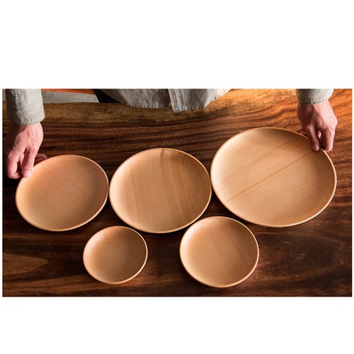 Serving Plate Fruit Pasta Utensil Tray Dessert Dinner Plates Round - Picture 6 of 12
