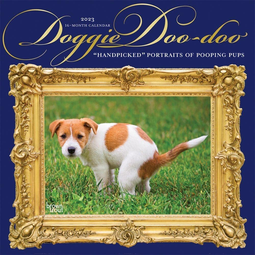 doogie-doo-doo-2023-wall-calendar-brand-new-55897-ebay