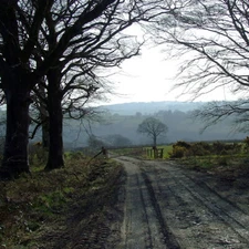 Photo 6x4 Leaving Deri Lodge Wood, Ceredigion Betws Bledrws The dipping l c2009