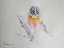 Great Tit, Birds, Watercolor artwork, Handmade, Original painting on paper