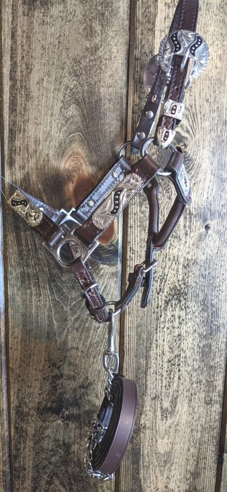 Halter de exhibición de caballos en miniatura - plateado con incrustación negra - vástago de plomo a juego Foto 2 de 4