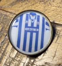 Brighton And Hove Albion Football Club Pin Badge Supporters Skint Kit Shirt