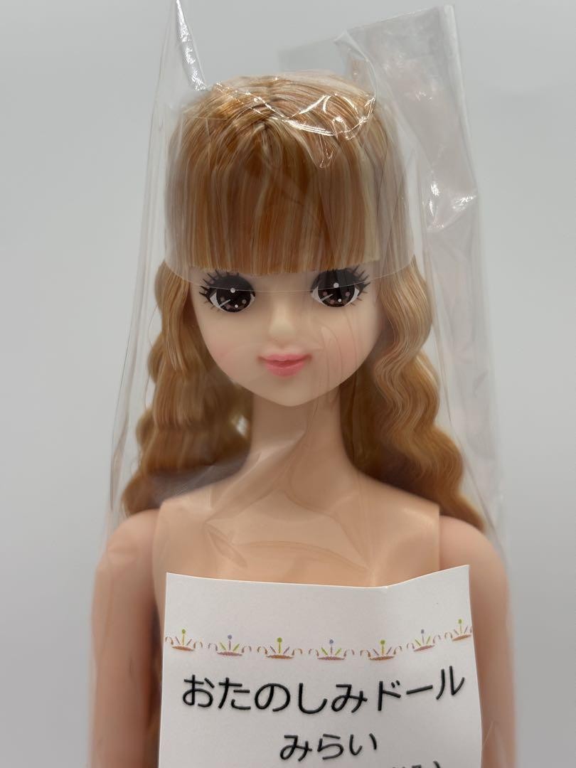 LICCA CASTLE Fashion Doll M6069 27cm JENNY Friend MIRAI Custom Fun Doll