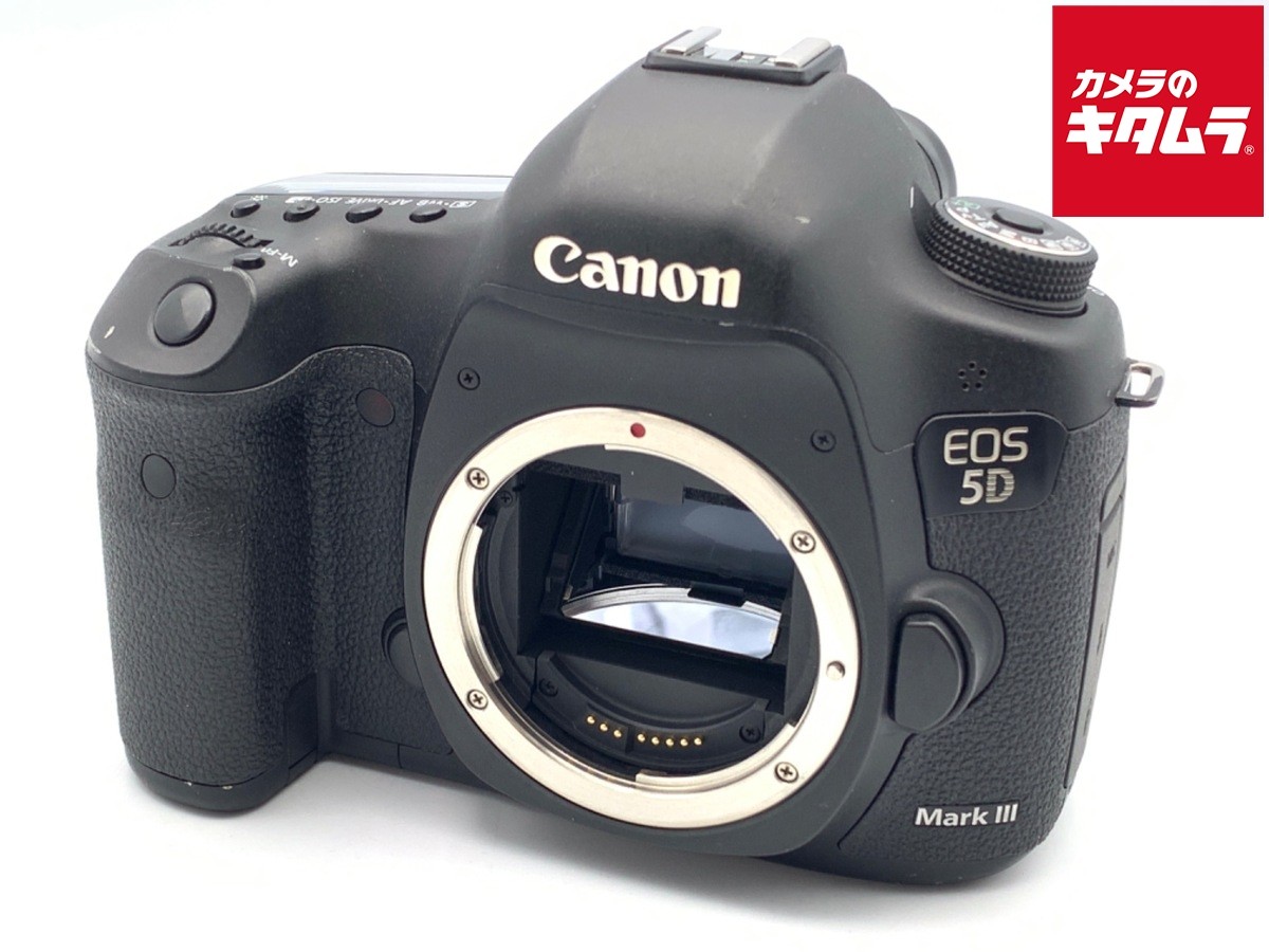 CANON EOS 5D Mark III 22.3MP DSLR Camera Body -EXC- `0454 | eBay