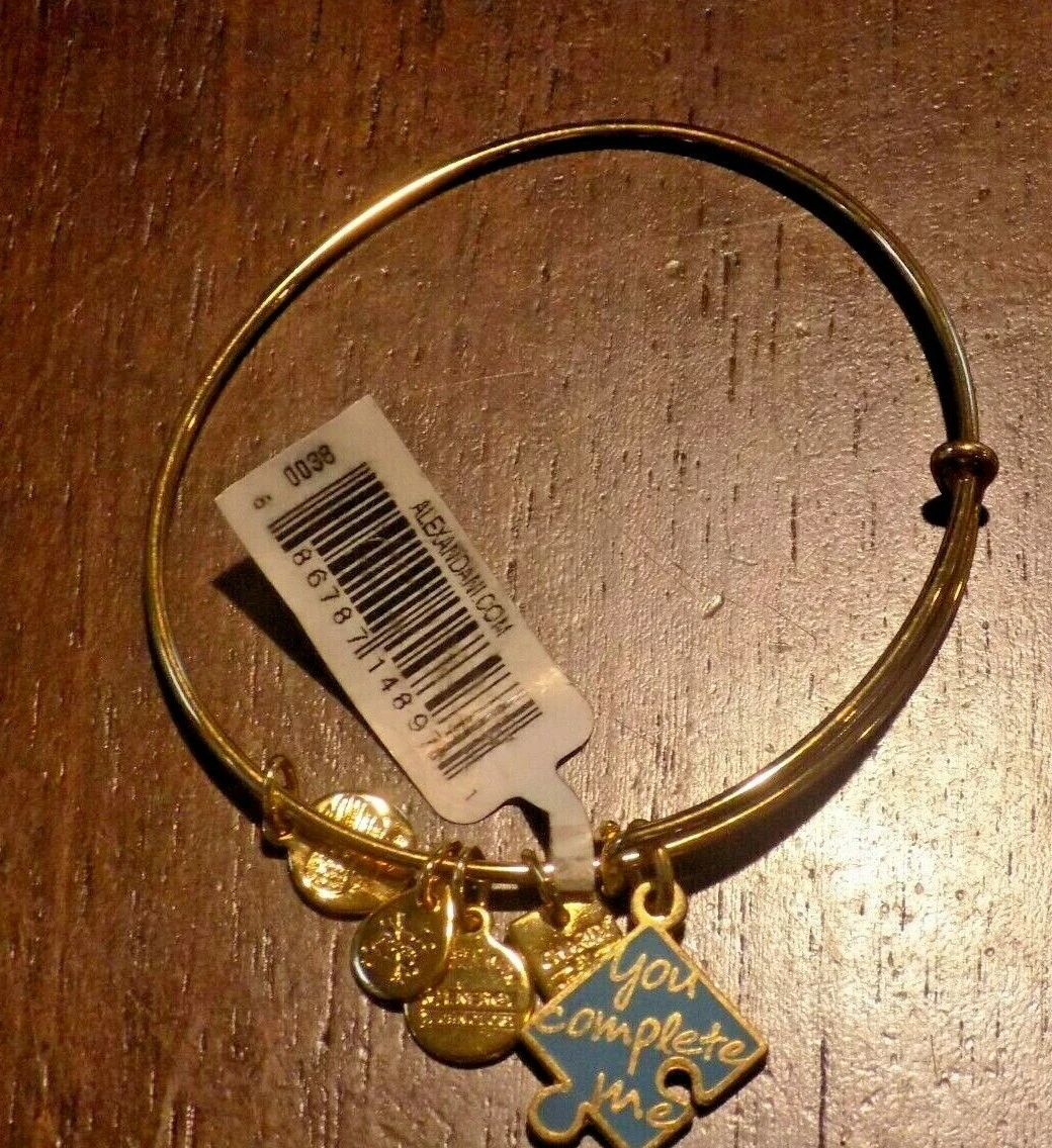 Alex and ani best sale you complete me bracelet