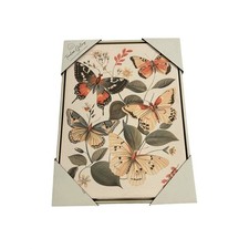 Timeless Gallery Butterfly Canvas Wall Art 12x16 Gold Frame New Botanical Art