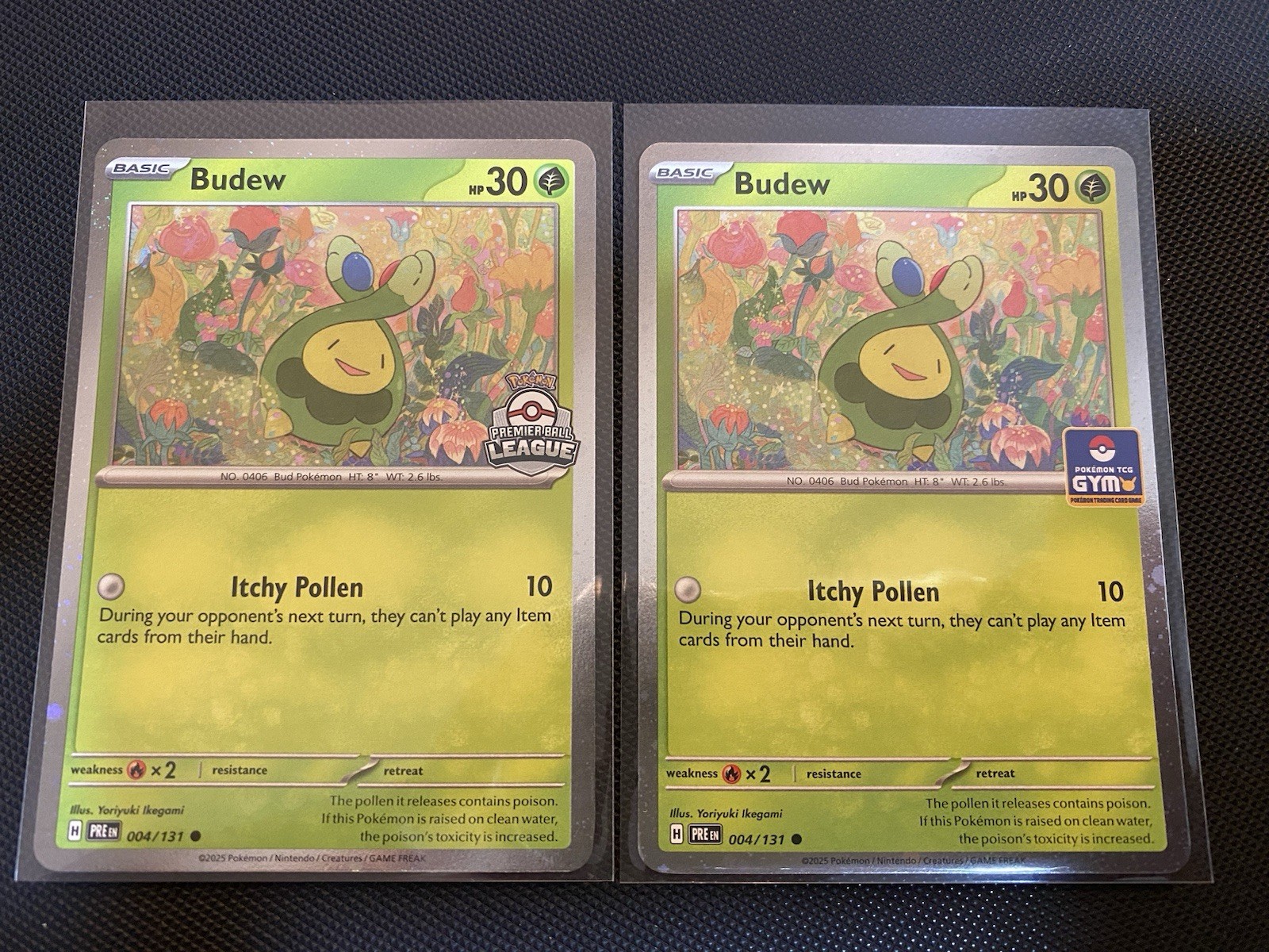 Budew Premier Ball League & Gym League Promo