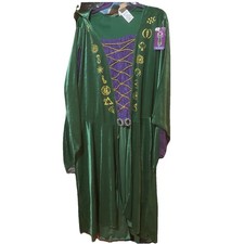 Disney Halloween Adult Winifred Sanderson Dress Hocus Pocus Costume Witch Spirit