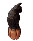 Halloween Black Kitty Cat sitting on Jack O Lantern Pumpkin JOL Anthony Costanza — photo 2
