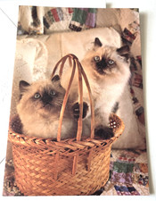 Vintage Greeting Card Birthday DaySpring Kuddly Kittens Siamese Cats in Basket