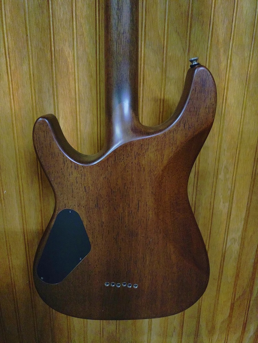 Schecter C-1 Exotic Diamond Series W/ Hard Case | eBay