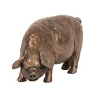 Frith Sculpture - Pigglesworth Pig Gloucester Old Spot in Bronze Resin in Box