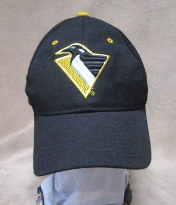 pittsburgh penguins robo penguin hat