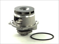 Thermotec D1X028TT Wasserpumpe, MotorküHlung