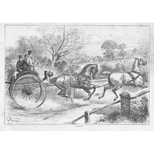 Victorian Tandem Horse Carriage - Antique Print 1881
