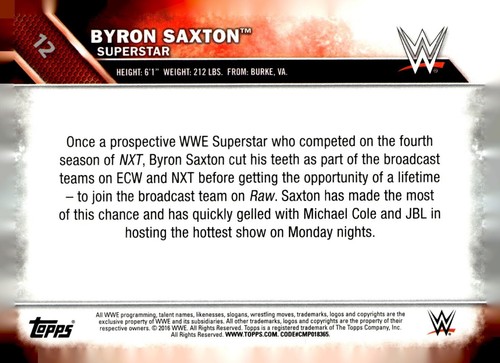 2016 Topps WWE base and inserts, bronze, silver - pick your card PYC - Picture 268 of 466