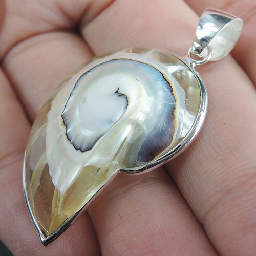 925 Sterling Silver Small Clear Natural Nautilus Shell Pendant Jewellery, CNP-20 - Picture 1 of 6