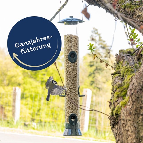 25 kg Erdnusskerne SPLITS Wildvogelfutter Erdnüsse Vögel Lyra Pet® Neue Ernte - Bild 3 von 7
