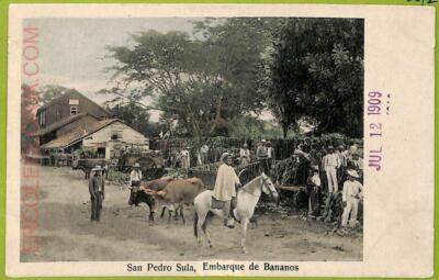 af2534 - HONDURAS - VINTAGE POSTCARD - San Pedro Sula, Embarque de Bananos