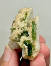 Natural Green Tourmaline Crystals Cluster on Albite Matrix - Mineral Specimen