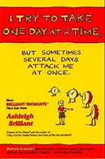 I Try to Take One Day at a Time, but Sometimes Several Days Attac