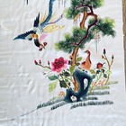 Picture 6 of 24