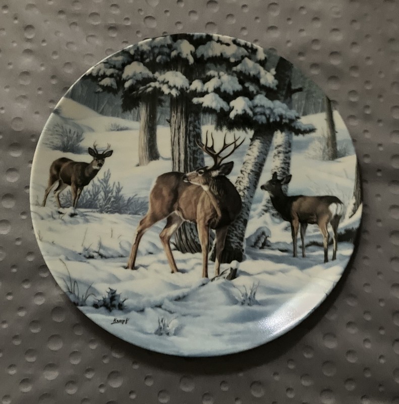Portraits of the Wild - Not This Year: Mule Deer - 1992 By Paul Krapf