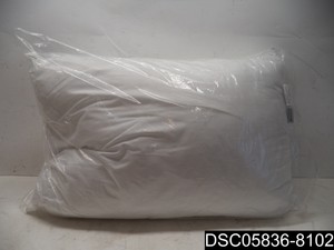 dream surrender two pillow