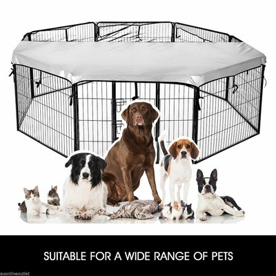 the range dog pen