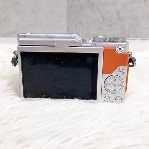 Panasonic Mirrorless interchangeable-lens camera Lumix GF9W-D