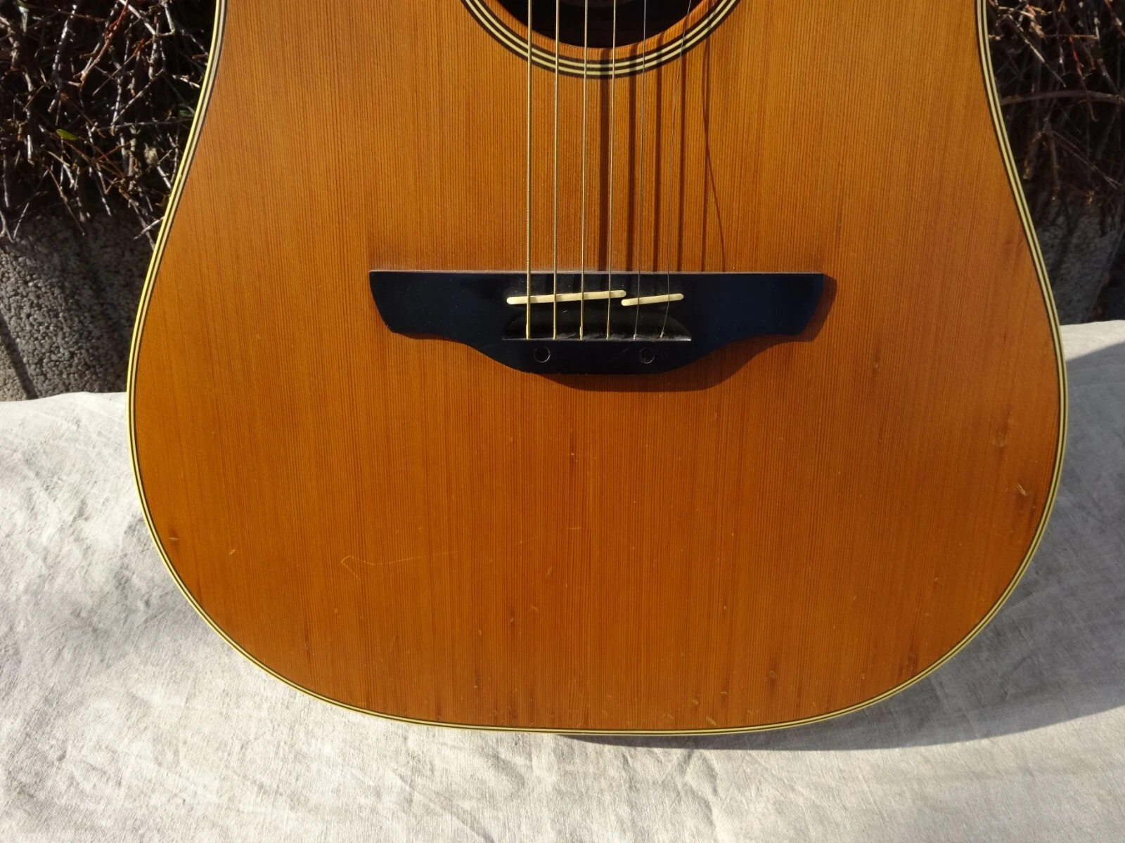 Picture 4 of 12