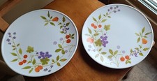 Discontinued Noritake Berries 'n Such Dinnerware